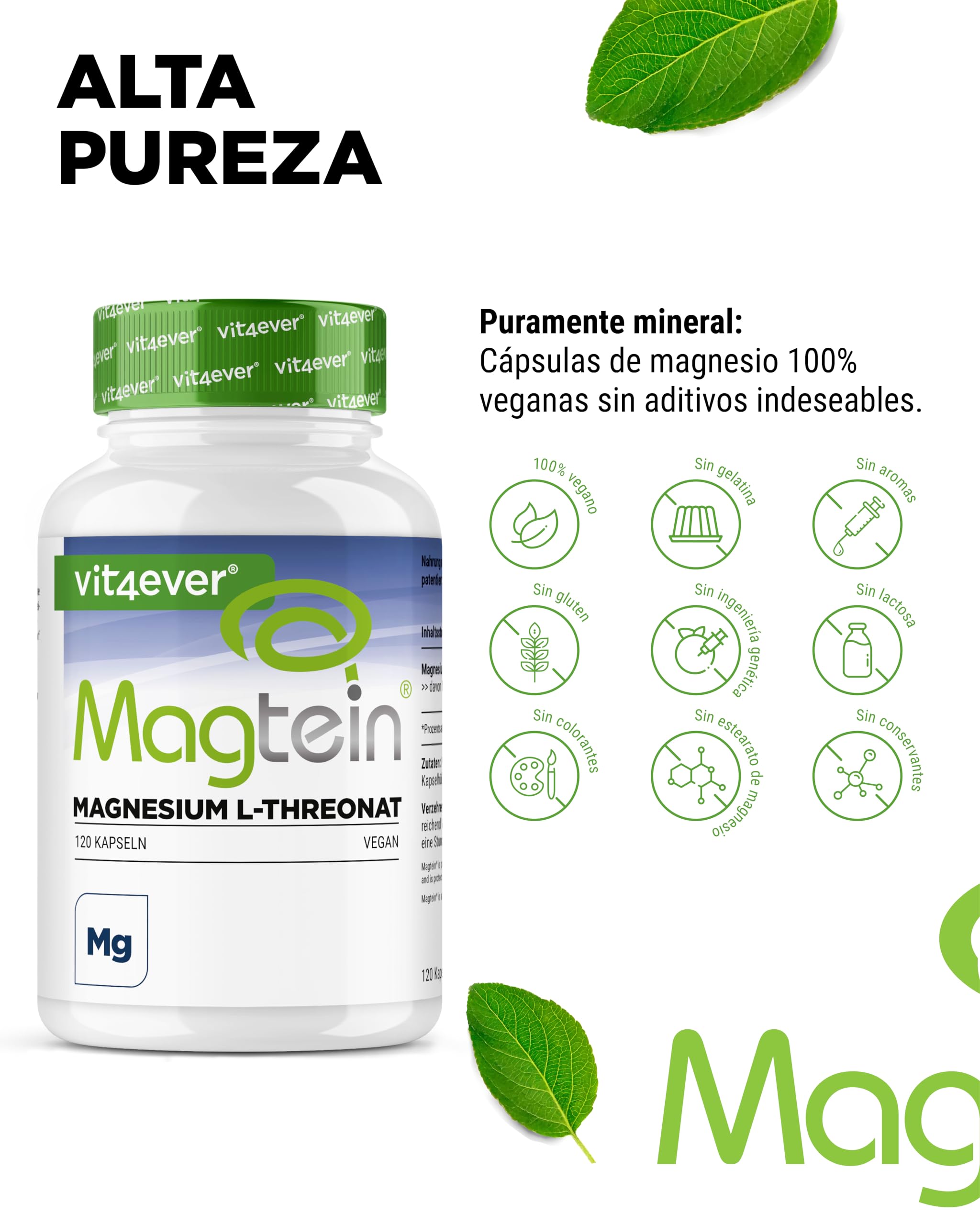 vit4ever Magtein® Magnesio L-Treonato 120 Cápsulas - Alta Dosificación con 2000 mg de Magnesio L-Treonato puro por Día - Vegano