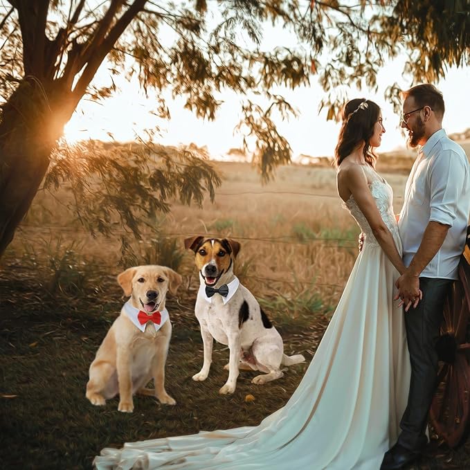 Koolmox 8PCS Corbata y Cuello Ajustable para Perros Tuxedo Formal miniatura 6