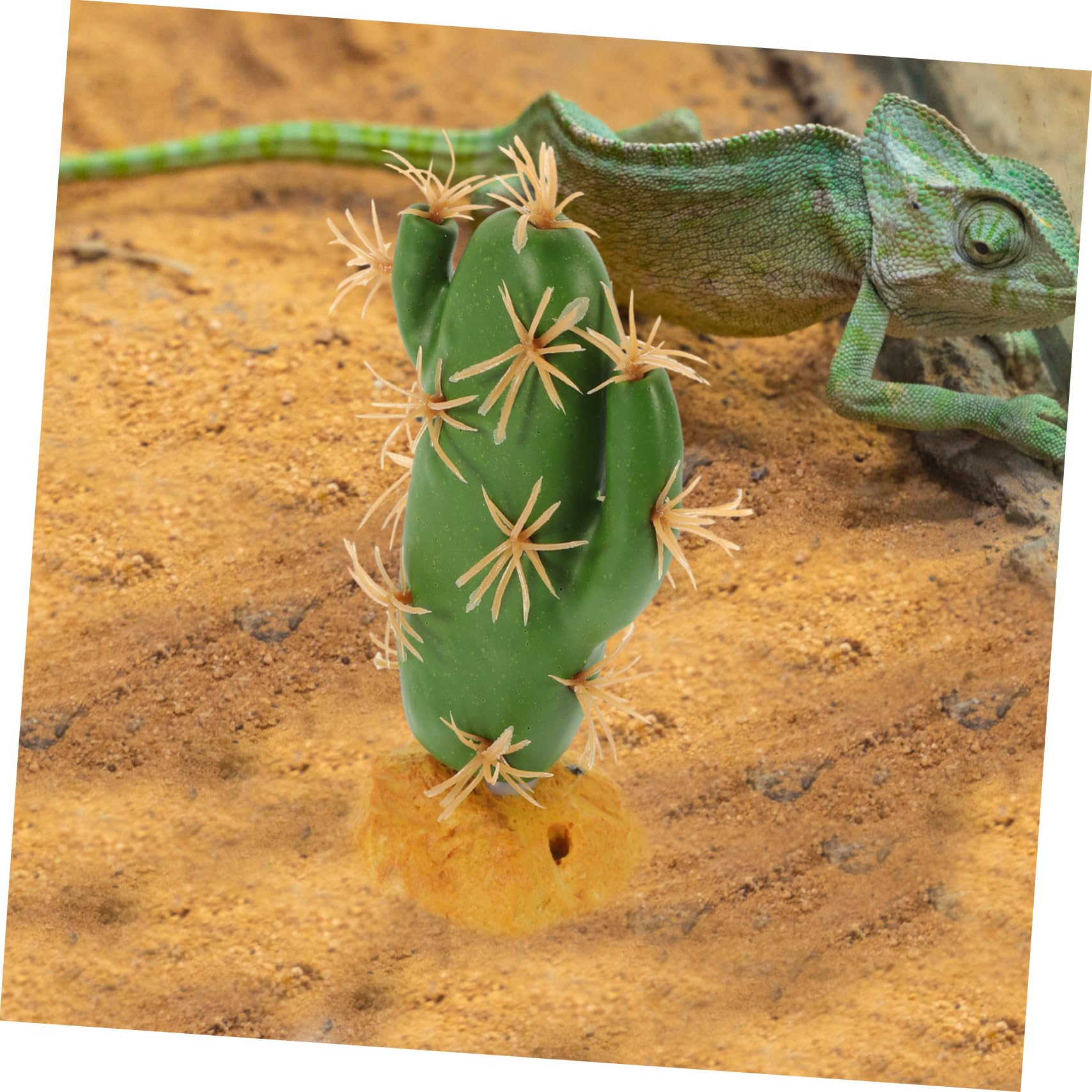 CORHAD Reptile Plants for Terrarium Plant Decoration for Amphibian Reptile Tank Lizard Terrarium Decors Fake Cactus