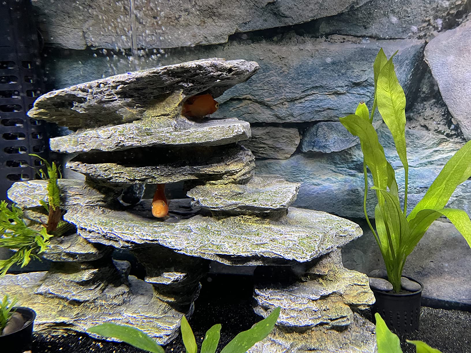 17/mo Finance Unscripted Aquarium Clarifier Keeps Water Clear