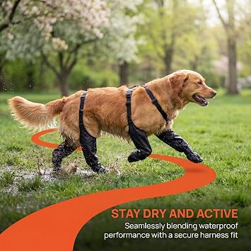 Waterproof, Anti-Slip Dog Boots for Small/Medium Dogs. Protects Paws on hot Pavement, Snow, and Outdoor Walks. Secure Harness Design. Ideal for All Seasons (S)