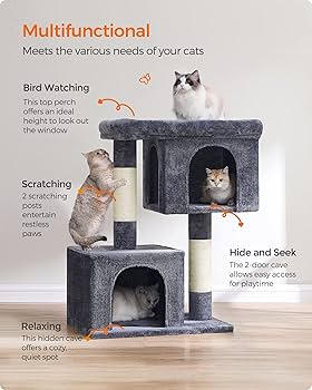 family cats　1001 Amazon.com : Feandrea Cat Tree, 39.8-Inch Cat Tower, XL, Cat