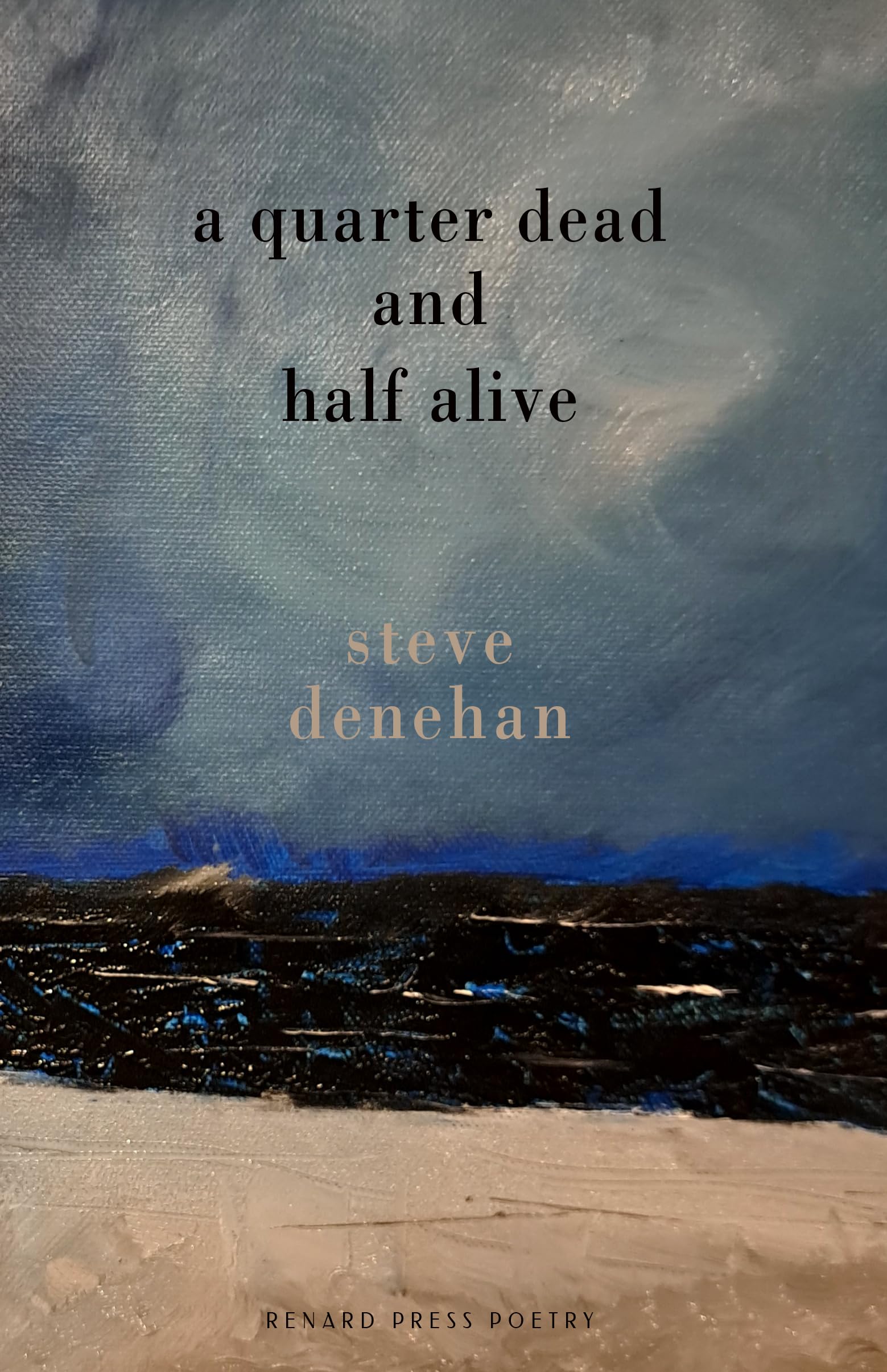 A Quarter Dead and Half Alive by Steve Denehan Paperback