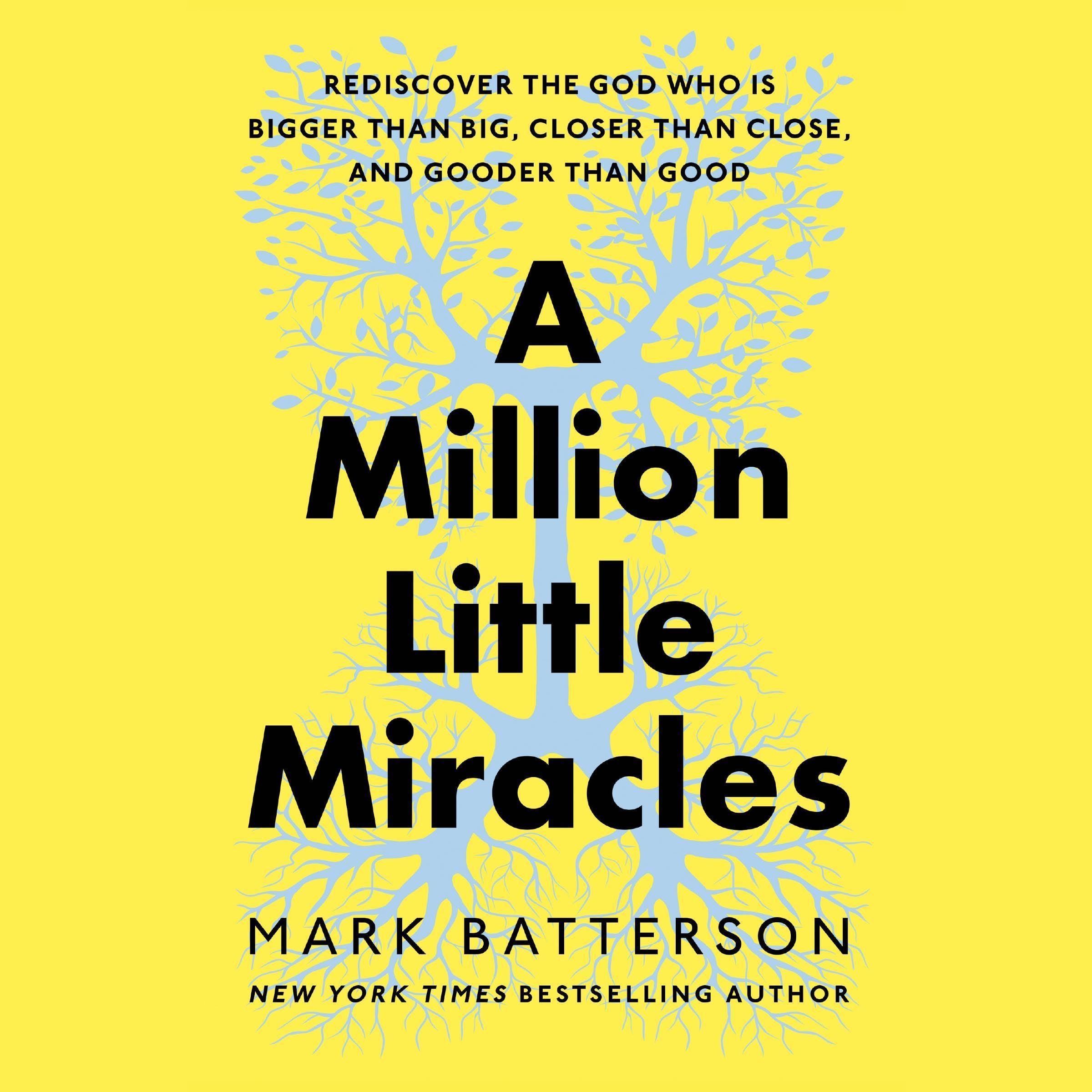 Cover art for A Million Little Miracles