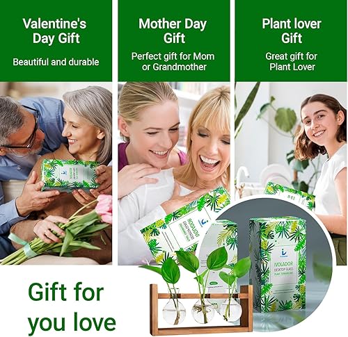 Miniatura 6 de Ivolador Estación de propagación de mesa, terrario de bombillas de vidrio con soporte retro de madera maciza para plantas hidropónicas, decoración