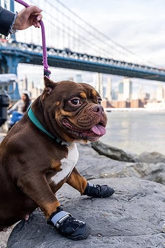 Miniatura 7 de 4Legs Botas de perro para exteriores y correr en el parque sin cordones impermeables con suela de goma ligera antideslizante resistente