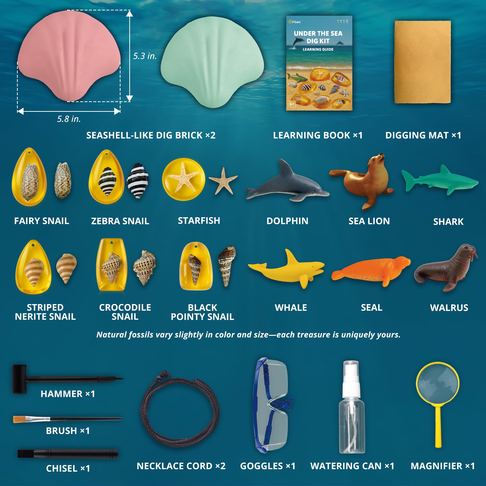 PIBEX Under-The-Sea Dig Kit – Graben und entdecken Sie 18 echte Muschelfossilien, Bernsteinschmuck und Meerestierkreaturen, Ozean-Halskette und STEM-Ausgrabungsaktivitätsspielzeug für Kinder ab 6