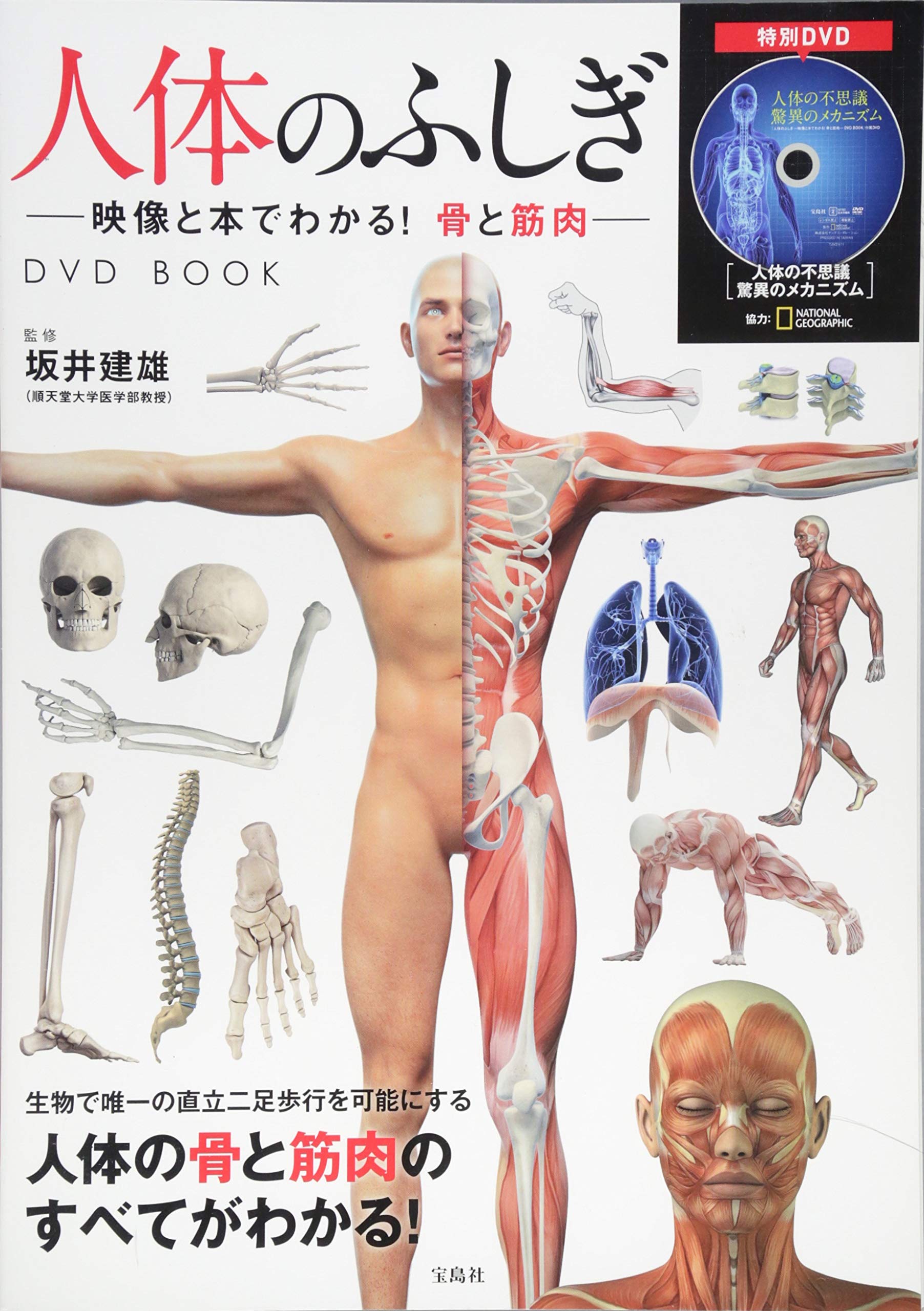 M4☆洋書 THE BODY BOOK 人形の本☆ 私たちは何者？ボーダレス・ドールズ – 青幻舎オンラインショップ