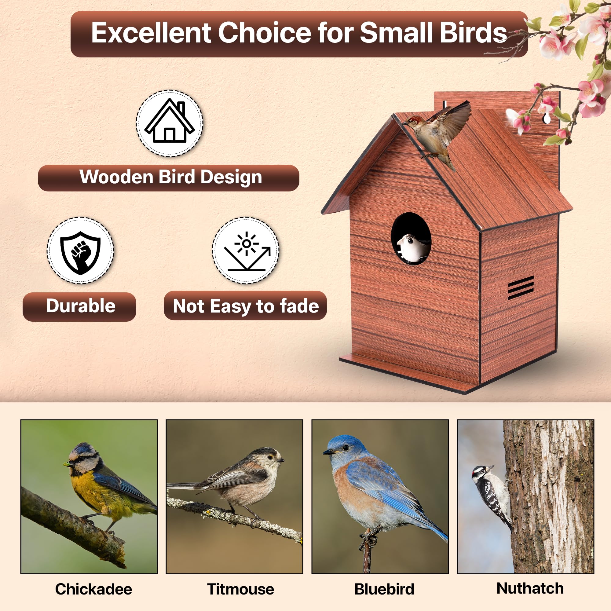 Sparrow Daughter MDF Bird House with Wood Finish, Air Ventilation & Hook – Ideal for Sparrows, Lovebirds, and Outdoor Use 1