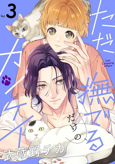 『ただ撫でるだけのカンケイ ： 3』の表紙イラスト 電子書籍 漫画