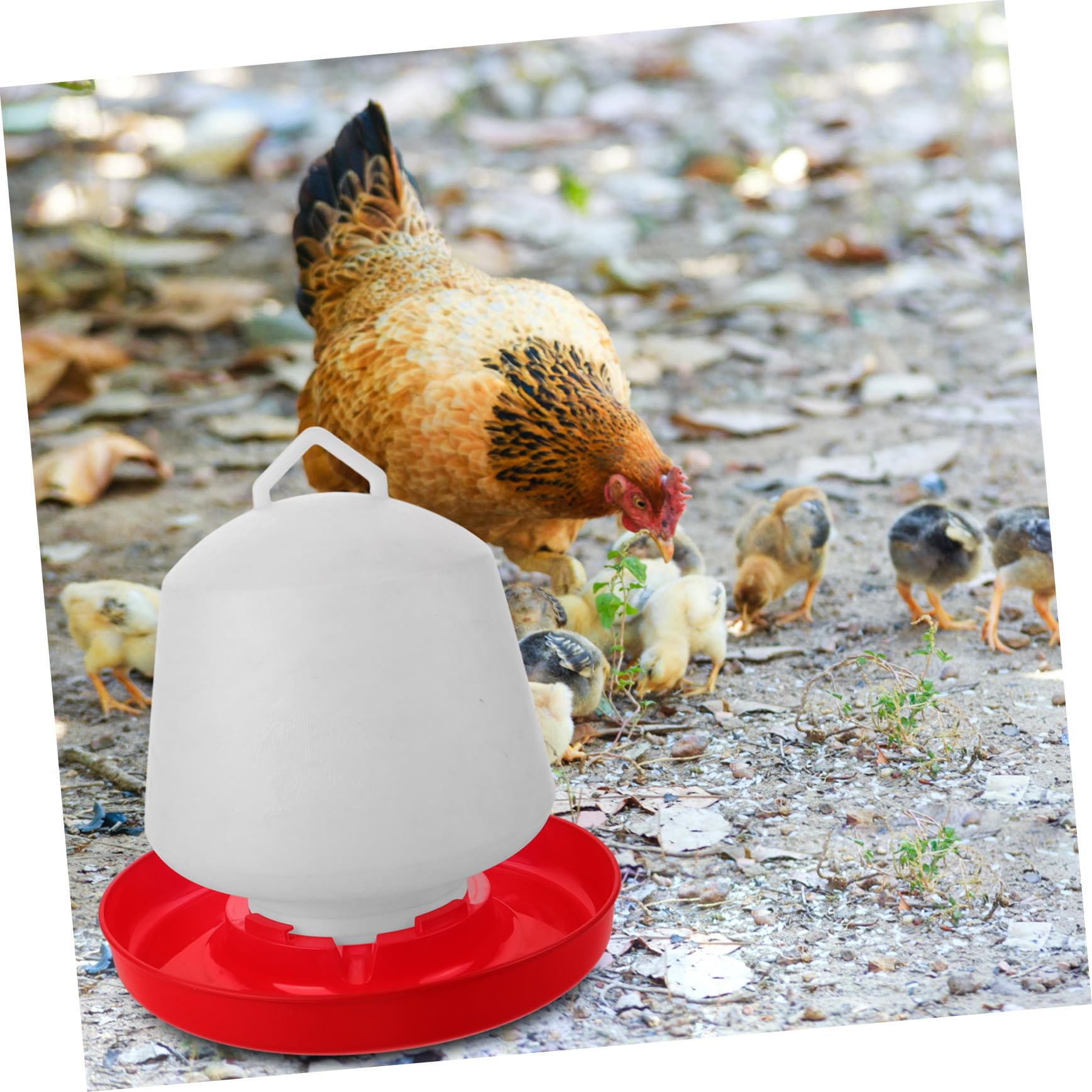 Mangiatoia per Pollame Design Creativo Resistente alle Cadute e Facile da Installare in Plastica Bianca Adatta per Allevamenti All'aperti di Galline e Oche