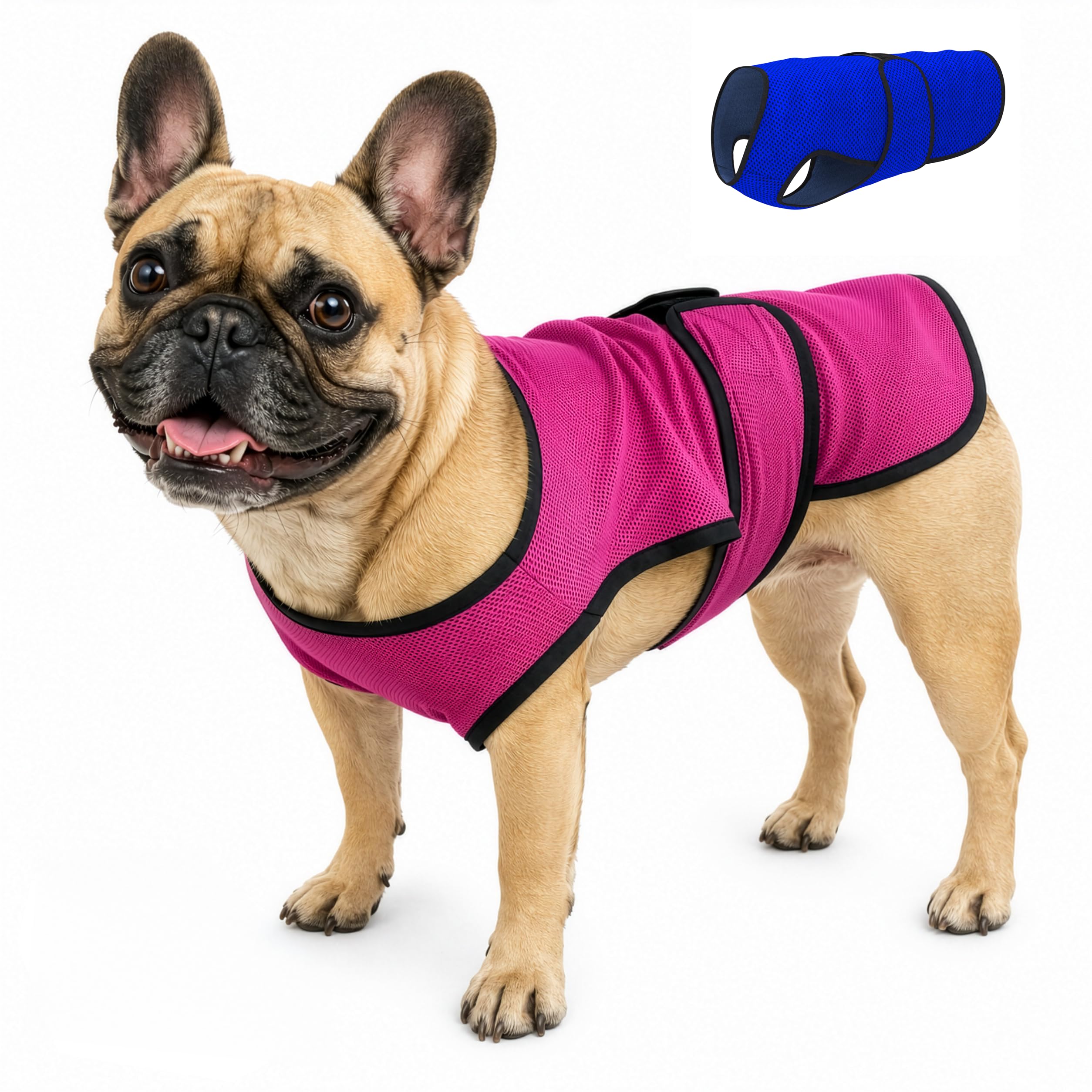 Amazon.com : DOGZSTUFF Dog Cooling Vest – Lightweight Evaporative