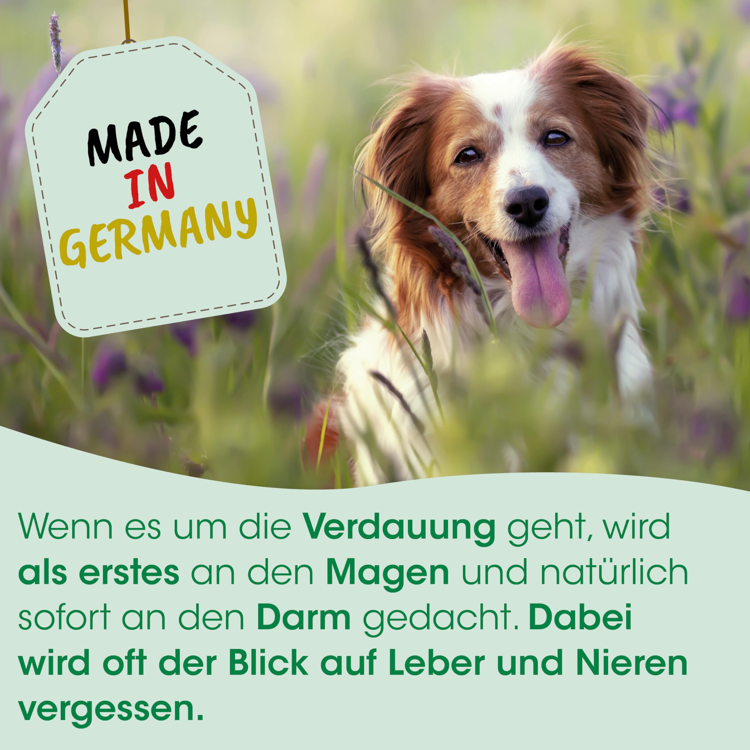 cdVet Naturprodukte Toxisan 100 ml - Ergänzungsfuttermittel für Hunde & Katzen - Unterstützt Leber & Niere - Natürliche Inhaltsstoffe