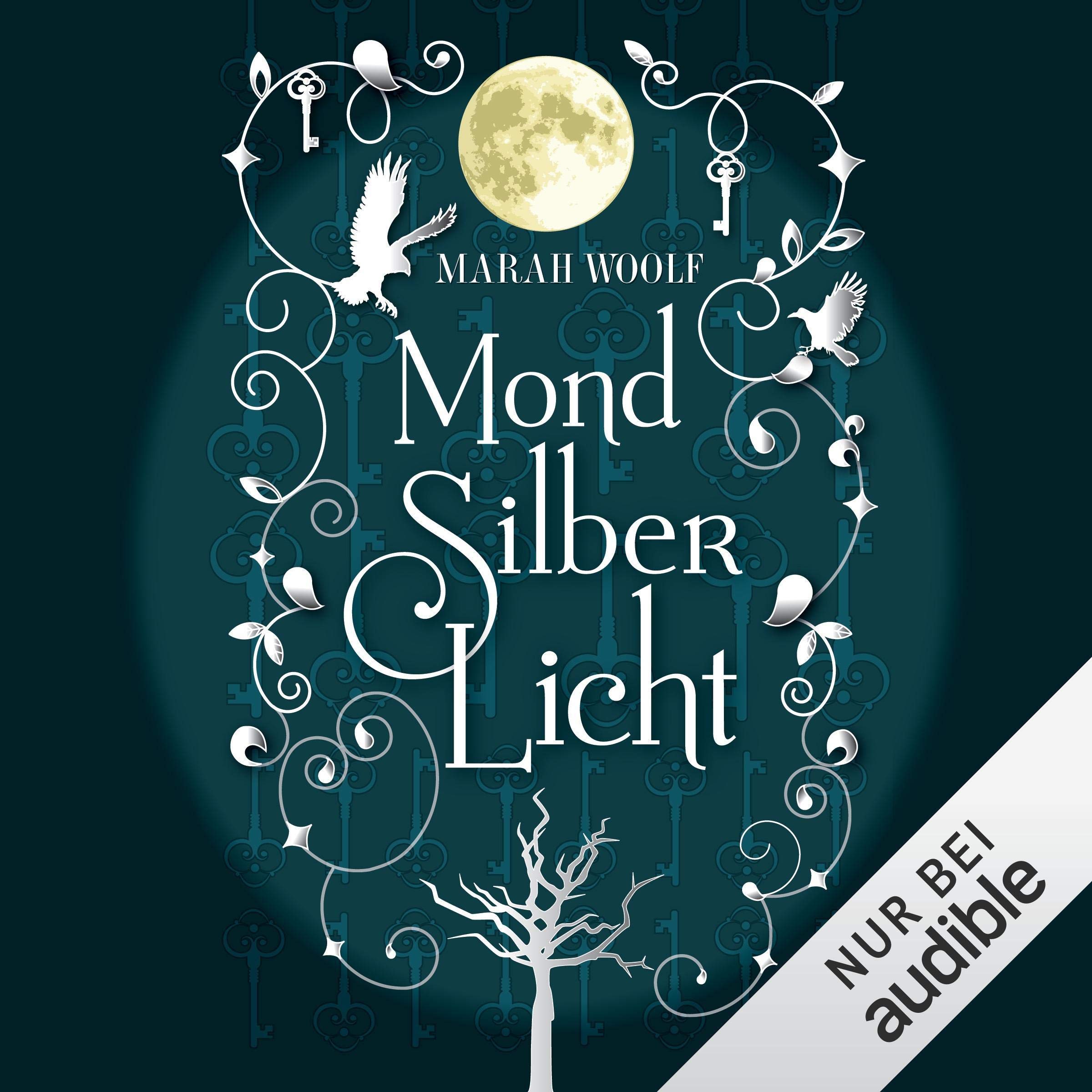 Cover art for MondSilberLicht