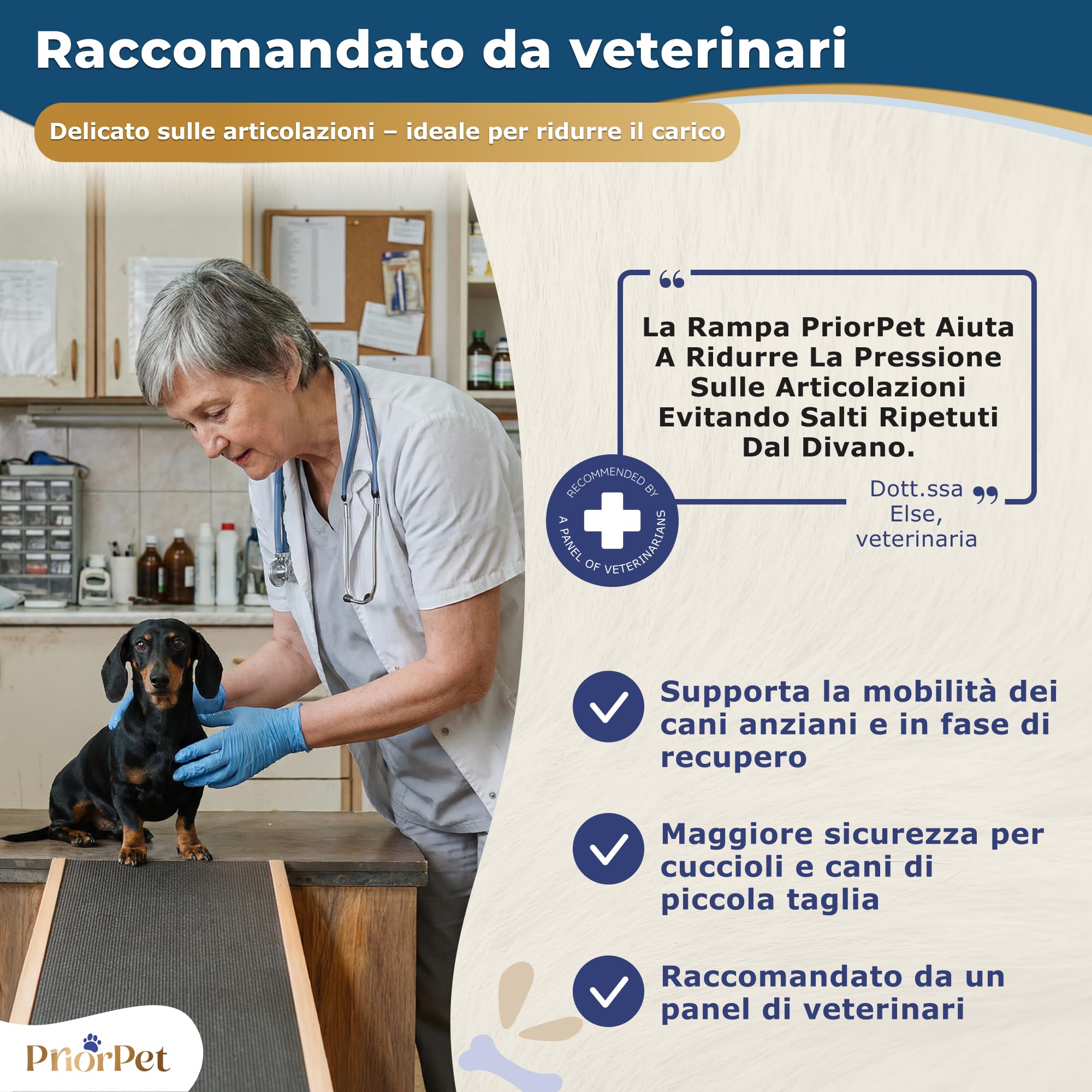Rampa per Cani Piccoli o Grandi - Regolabile 18-53 cm - Per Letto e Divano - Legno di Betulla - La Piattaforma Si Collega Perfettamente - Rampa Pieghevole - Naturale