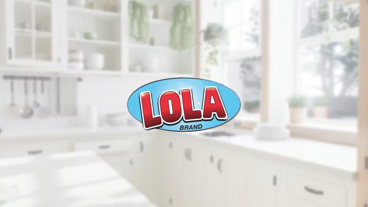 Amazon.com: LOLA Squeeze Matic Butterfly Sponge Mop Refill, 9