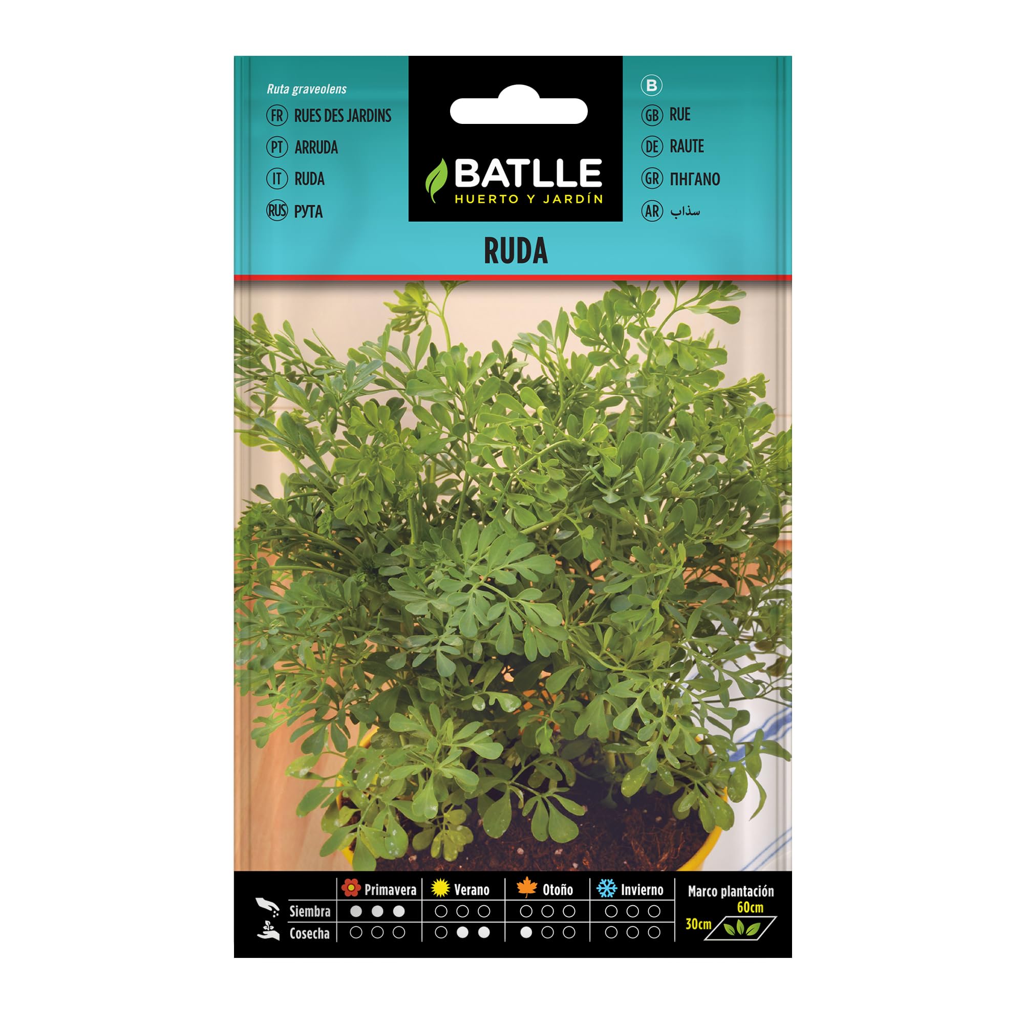 Batlle Aromatic Seeds - Rue (1g)