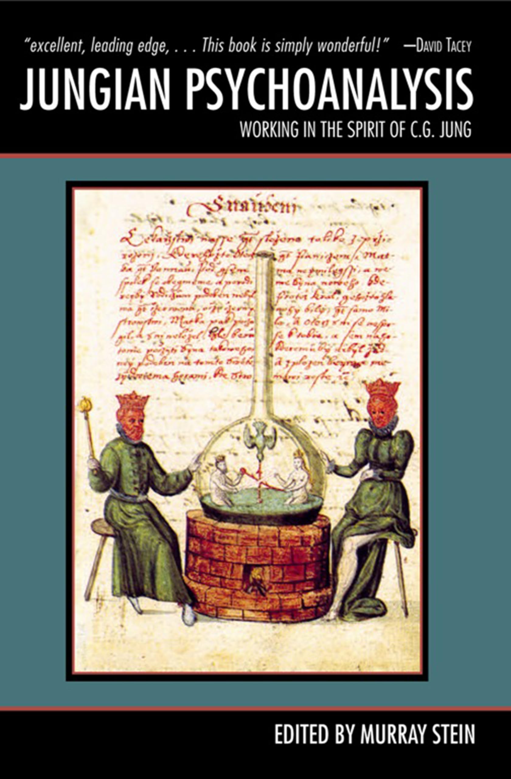 Buy Jungian Psychoanalysis: Working in the Spirit of Carl Jung — BookShops.in