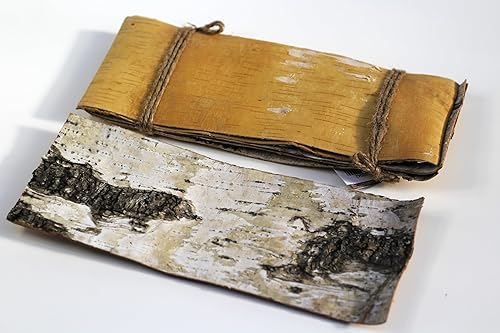 Hojas de corteza de abedul blanco natural. Suave y flexible. Paquete de 5 hojas. Messure12 L x 8.5" W (tamaño 12 x 4.75)