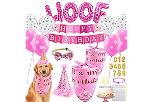 Pawsome Pup Birthday Essentials: Celebrate in Style