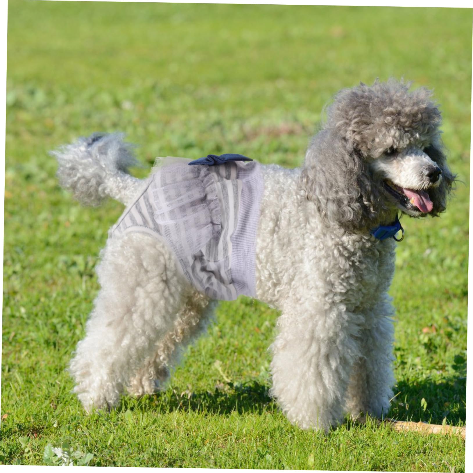 Abaodam Puppy Sanitary Panties Washable Dog Diaper for Female Pets Comfortable Durable Design for Menstruation Prevents Stains Easy to Wear