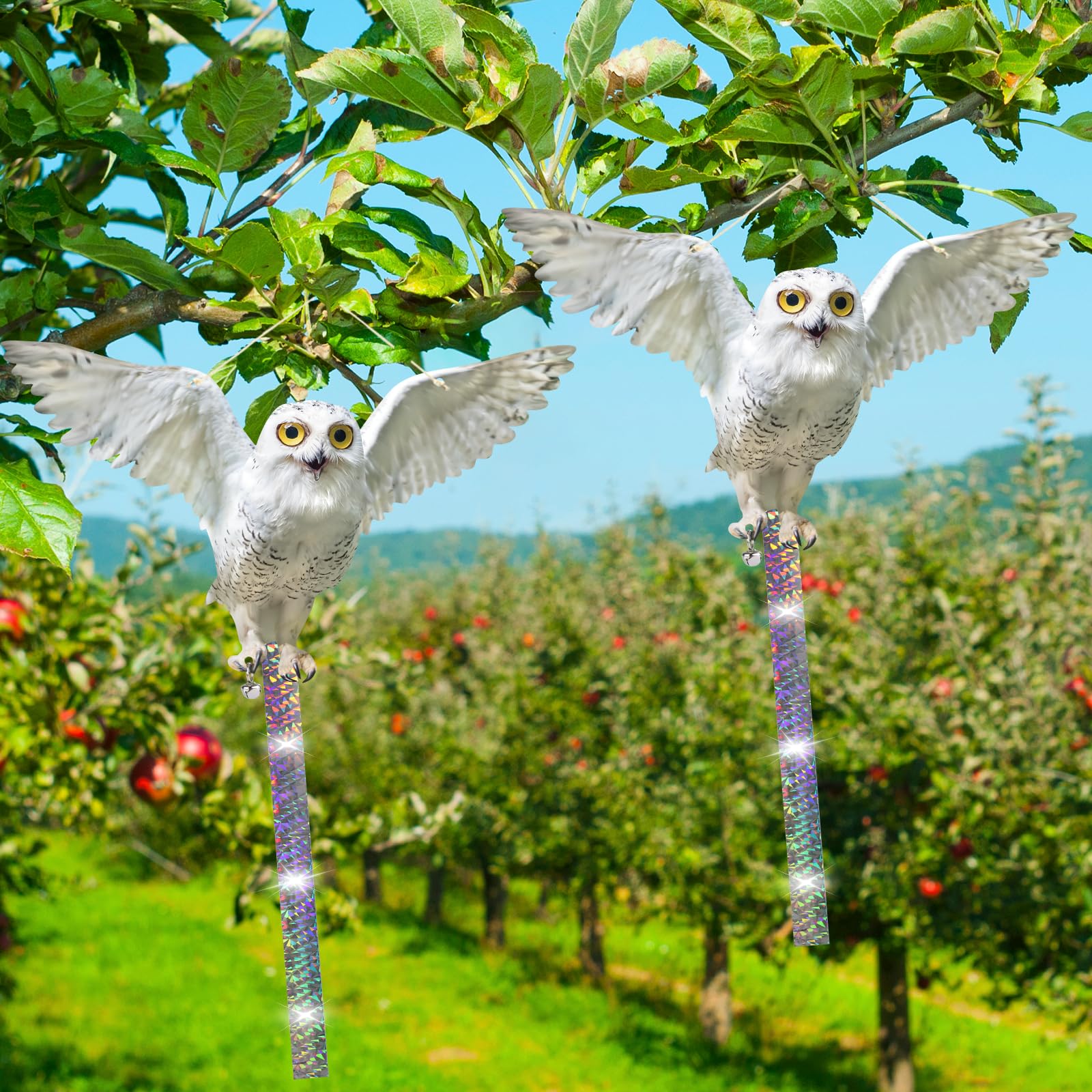 Lifreer - Lot De 4 Hiboux Réfléchissants Anti-Oiseaux (Double Face