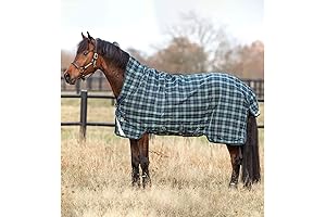 HORSEWARE Ireland Rambo Medium Weight Waterproof Breathable Horse Turnout Blanket with Vari-Layer and 250G Fill