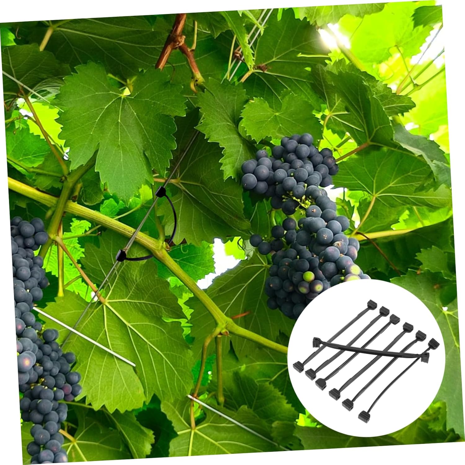 POPETPOP 1bag Outdoor Plant Clips Green Vine Stem Clips Plastic Garden Plant for Fixing