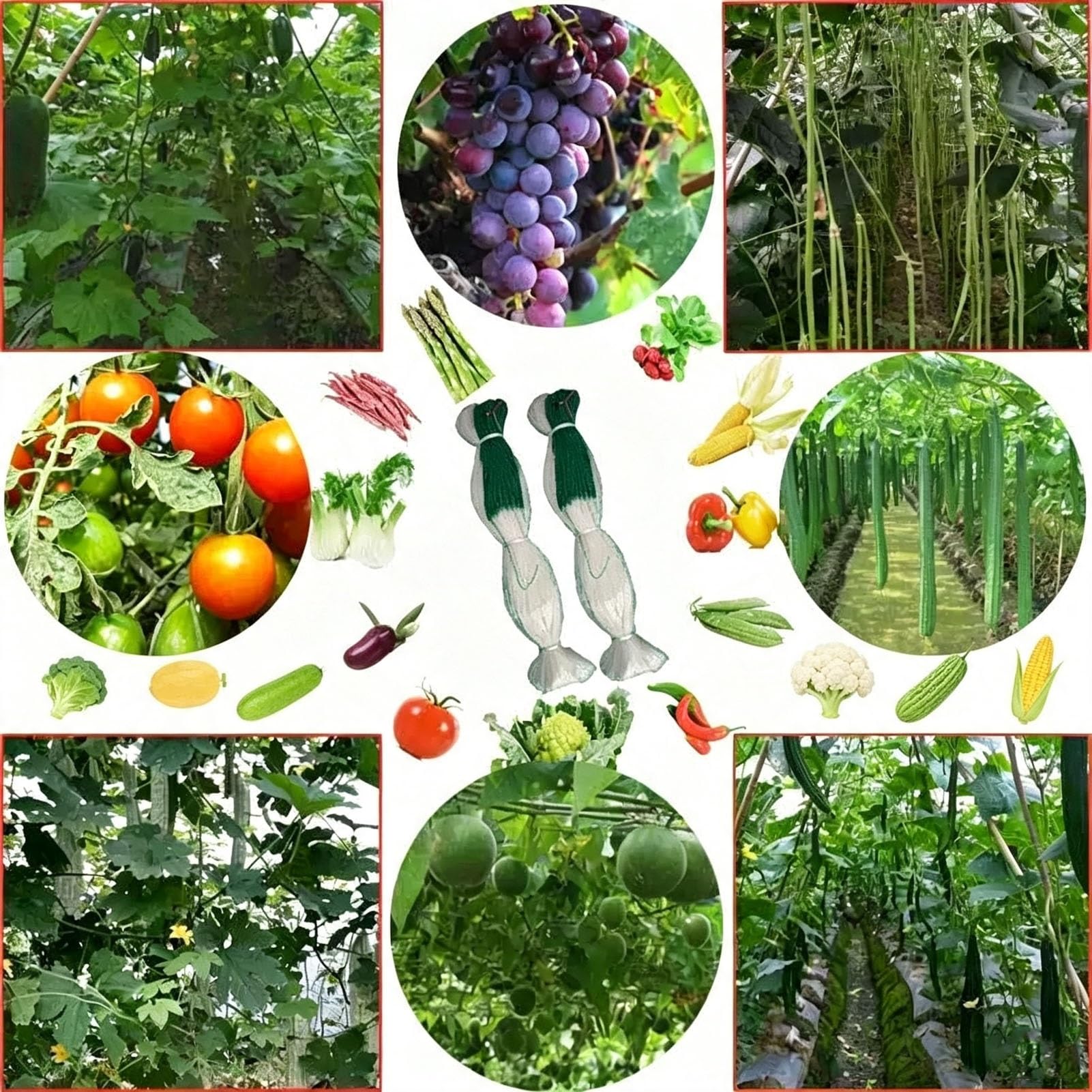 Malla Decorativa Jardín para Muro Vegetal, Malla para Uvas, HDPE