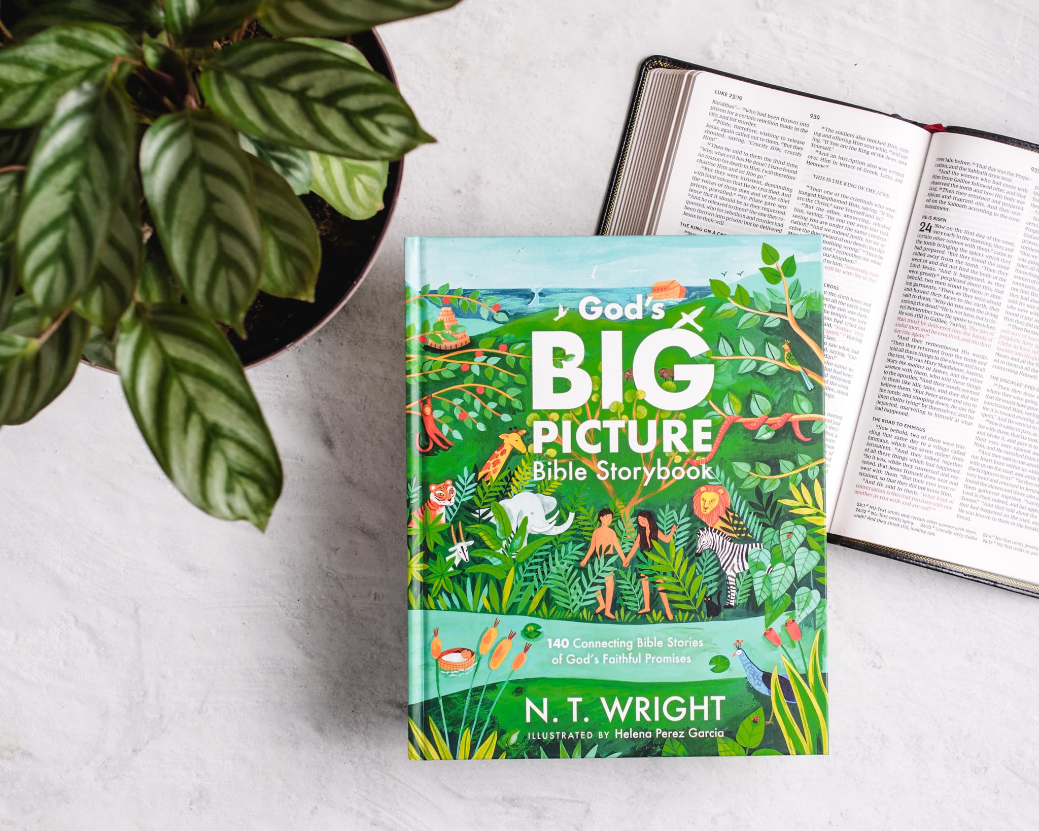 God's Big Picture Bible Storybook: 140 Connecting Bible Stories of God's Faithful Promises (God's Big Picture Bible Stories) - Image 2