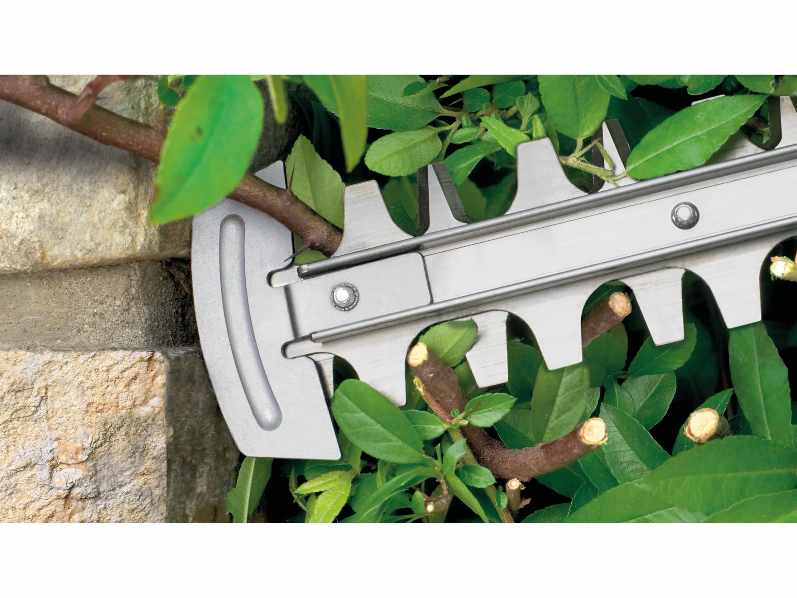 Bosch AdvancedHedgeCut 65 Taille-Haies 500 W 65 cm 34 mm