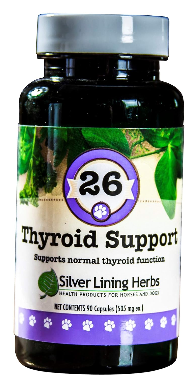 Buy Silver Lining Herbs Thyroid Support for Dogs Naturally Supports a