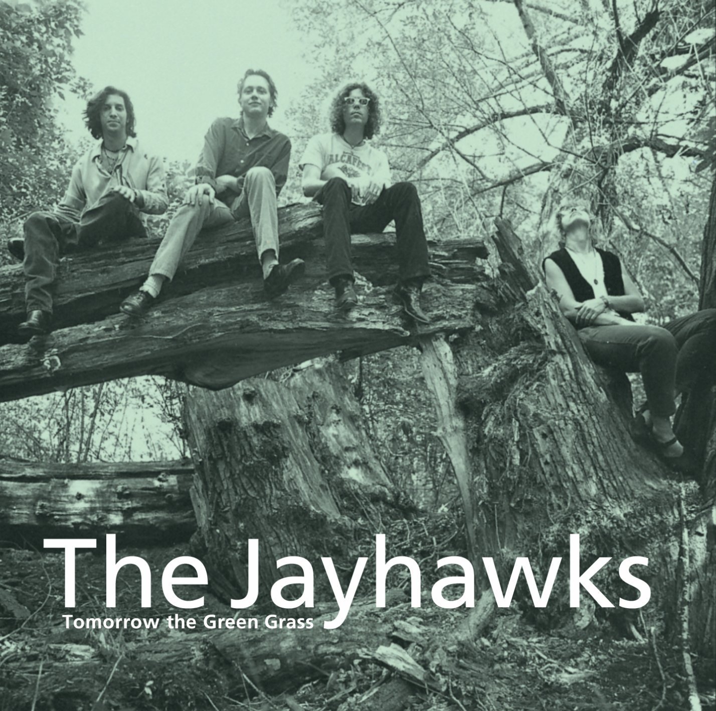 The Jayhawks - Tomorrow The 〜 オリジナルLP Tomorrow The Green Grass LP - MUSIC