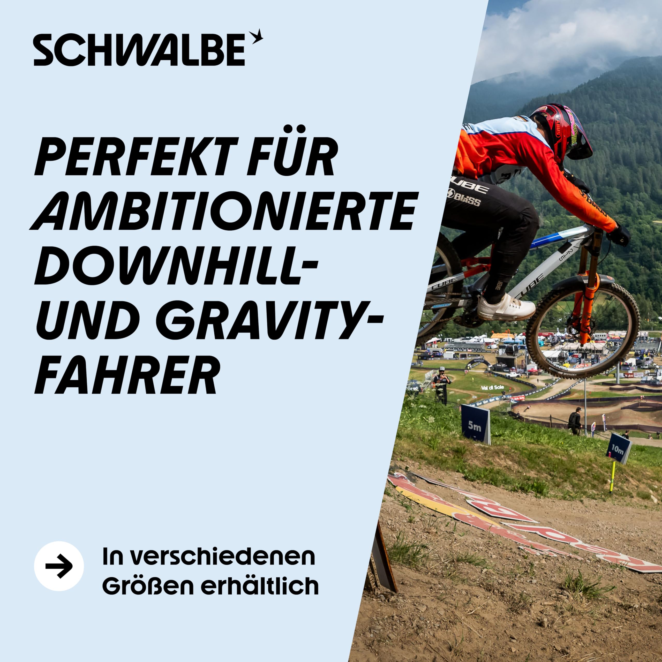 SCHWALBE Tacky CHAN Gravity PRO, TLR