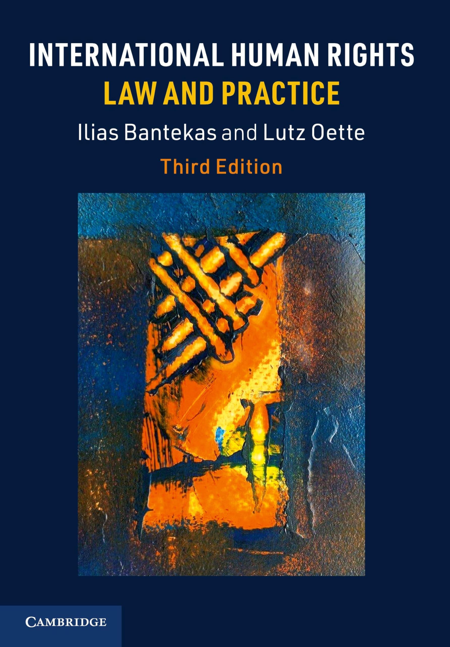 International Human Rights Law and Practice: Amazon.co.uk