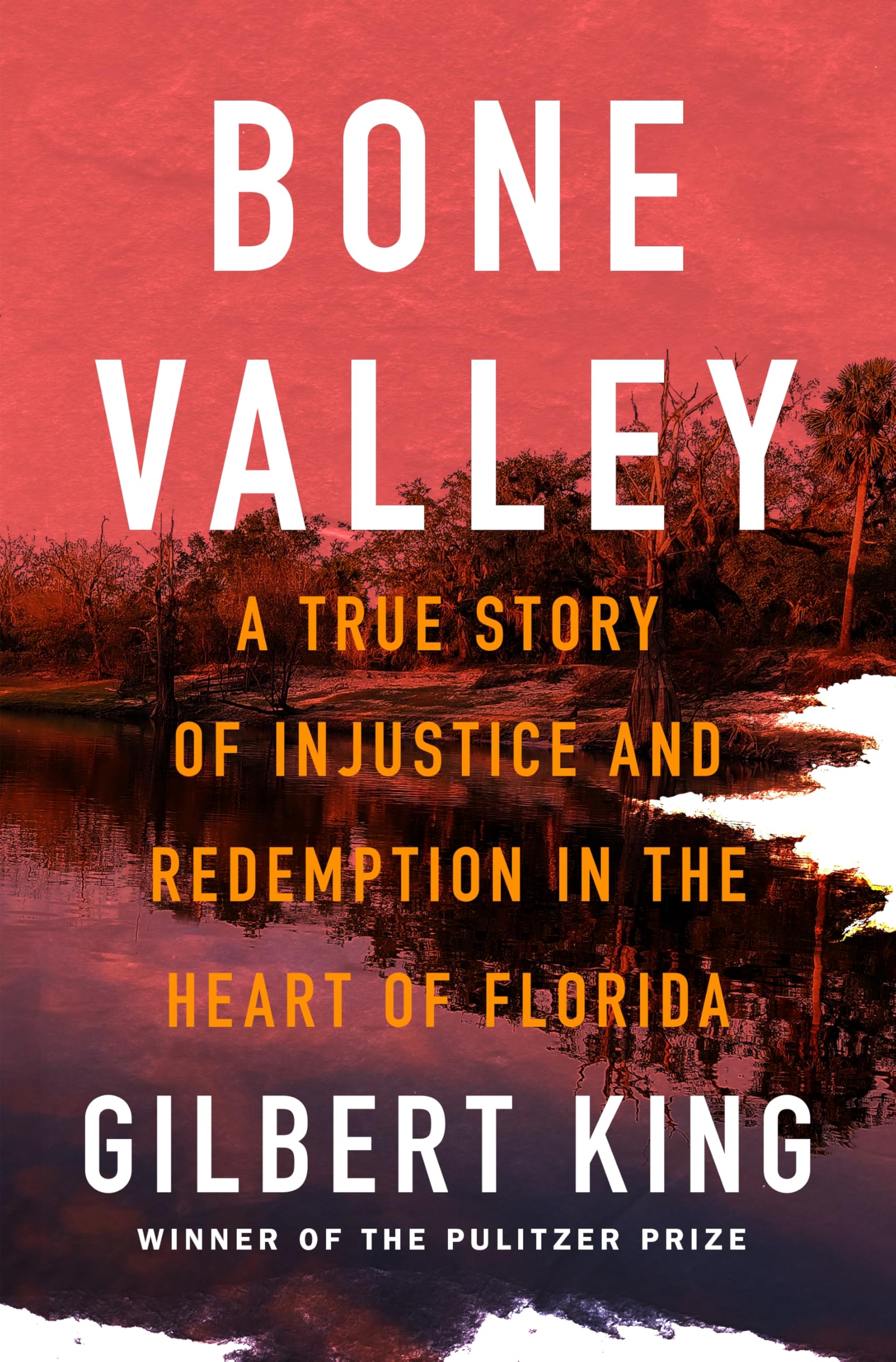 Bone Valley: A True Story of Injustice and Redemption in the Heart of Florida