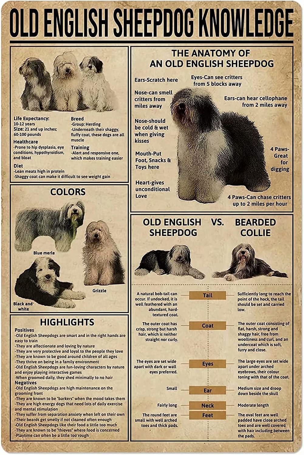 Haosensix Old English Sheepdog Knowledge Metal Tin Sign Vintage The Anatomy Of An Old English Sheepdog Retro Poster Plaque Wall Decor For Home Kitchen Office Club Bar Gym 8x12 Inch