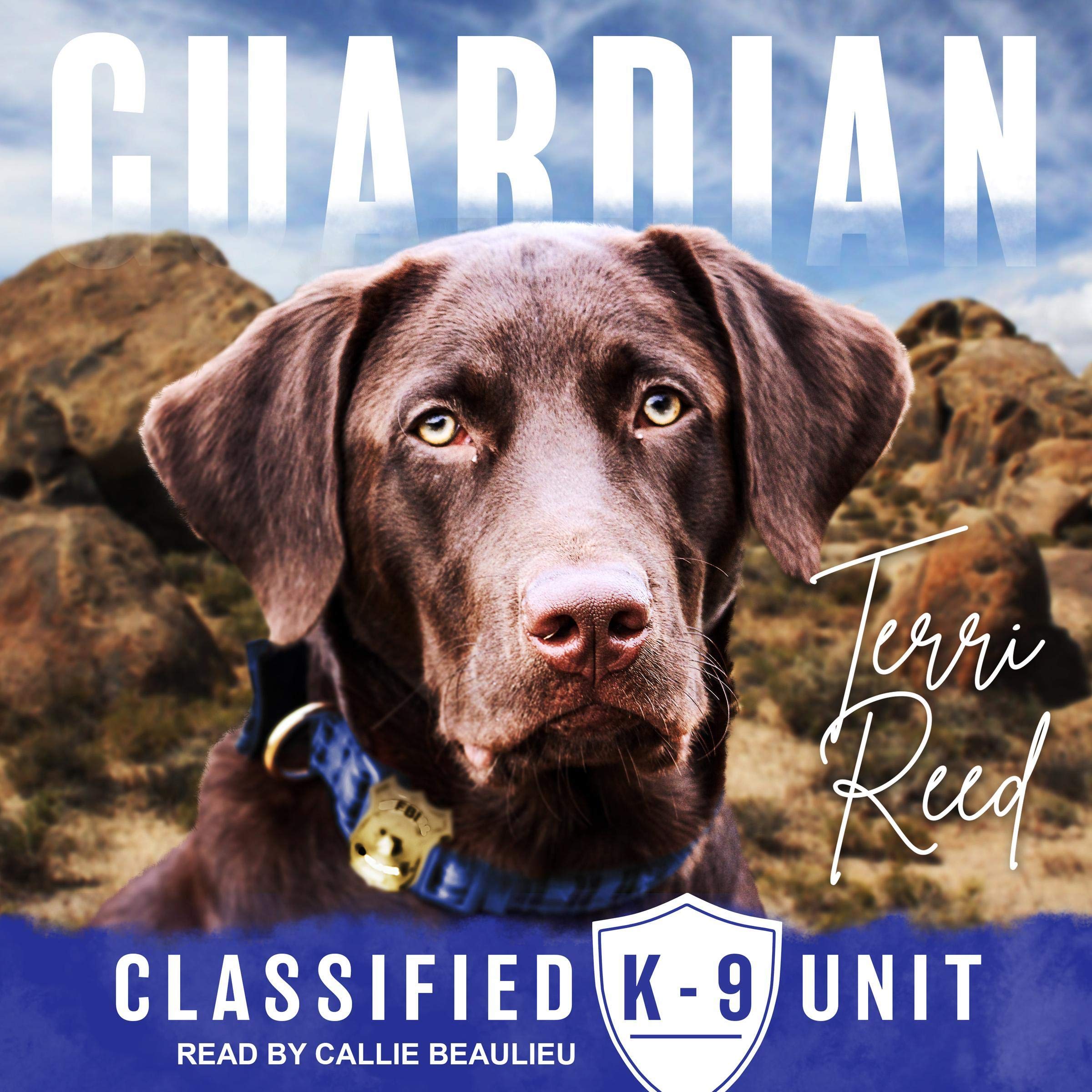Cover art for Guardian