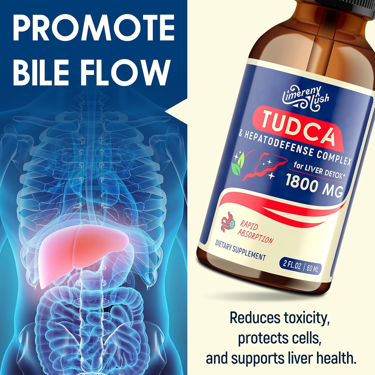 TUDCA Liver Support Drops 1800mg - Powerful Liver Supplement with Bile Salts, NAC, Schisandra and Dandelion, Liver Detox & Repair - Fast-Absorbing, Sugar-Free, Alcohol-Free – 2 Fl.Oz