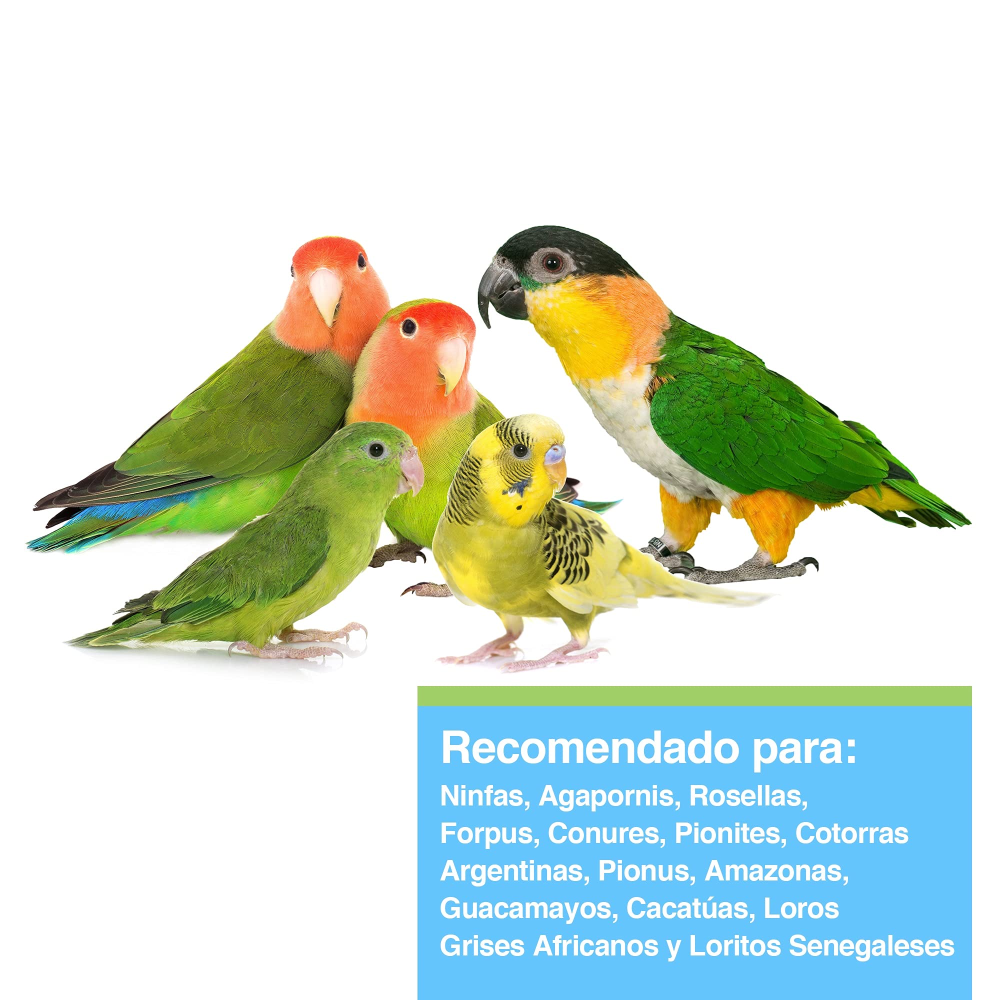 Tropican Mantenimiento para Loros - 1,8 kg