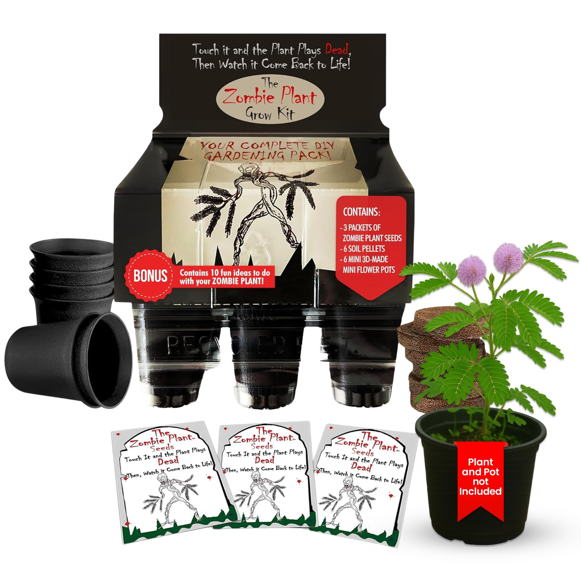 Zombie Plant Greenhouse Grow Kit - Touch It and Watch It Play Dead - Unique Grow Kit to Cultivate a Fun Indoor Plant That Revives in Minutes - Cool Plants and Great for Housewarming Gifts