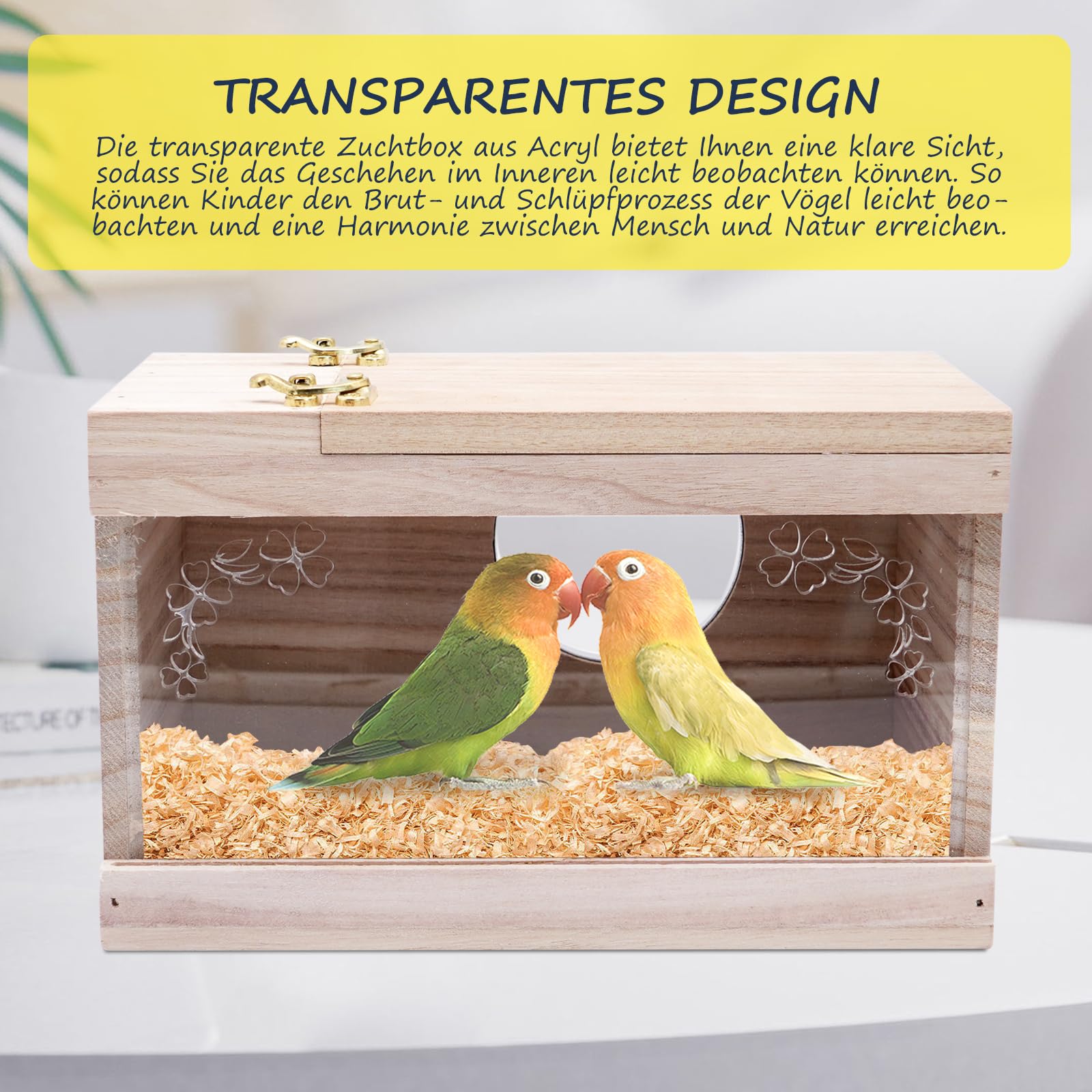 Nichoir transparent perruche avec perchoir en bois et fenêtre de visualisation