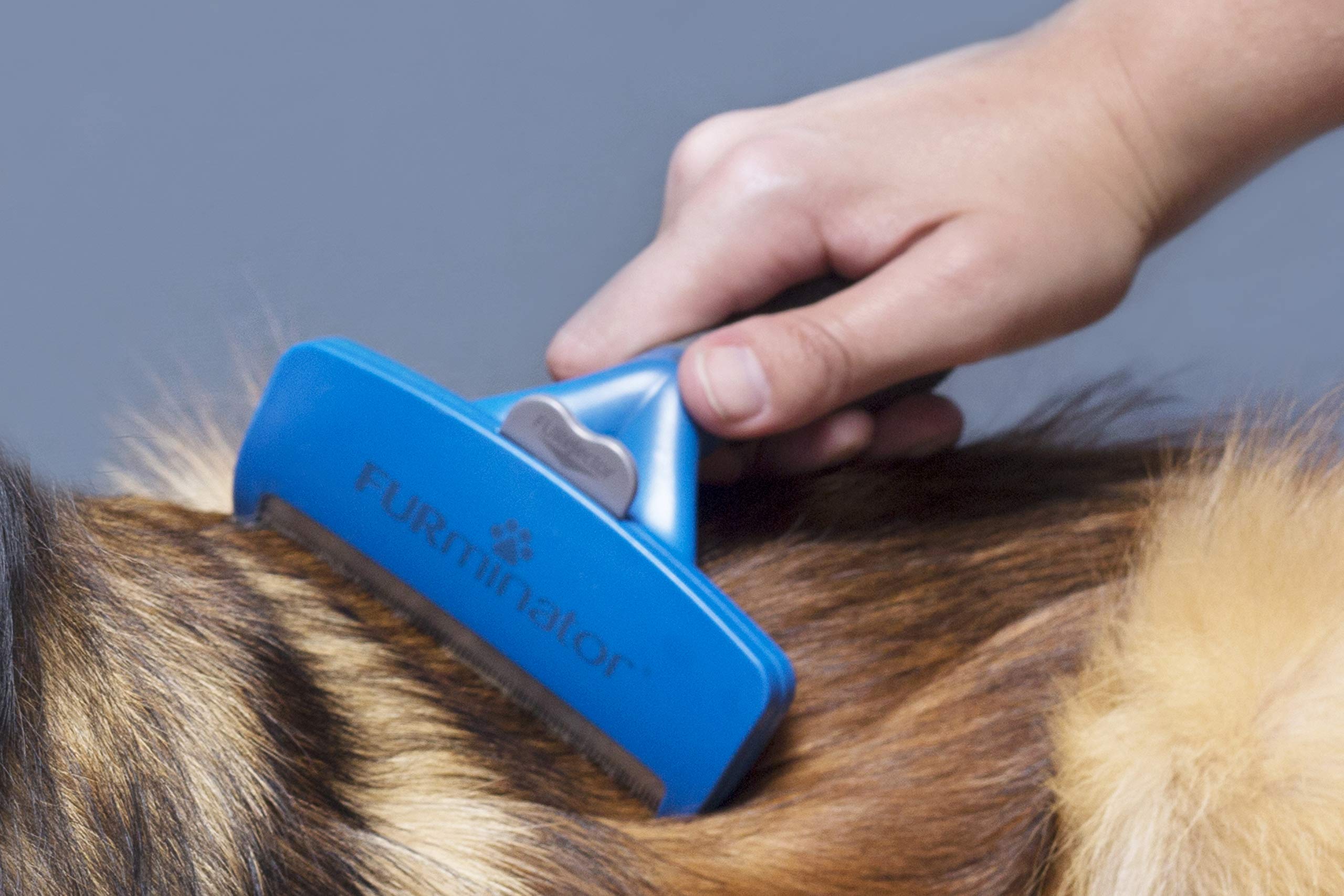 Furminator deShedding-Tool Hund Größe L Langhaar - Hundebürste für große Hunde zur Entfernung der Unterwolle & Striegel für Hunde und Katzen - Fellpflege Bürste massiert sanft die Haut
