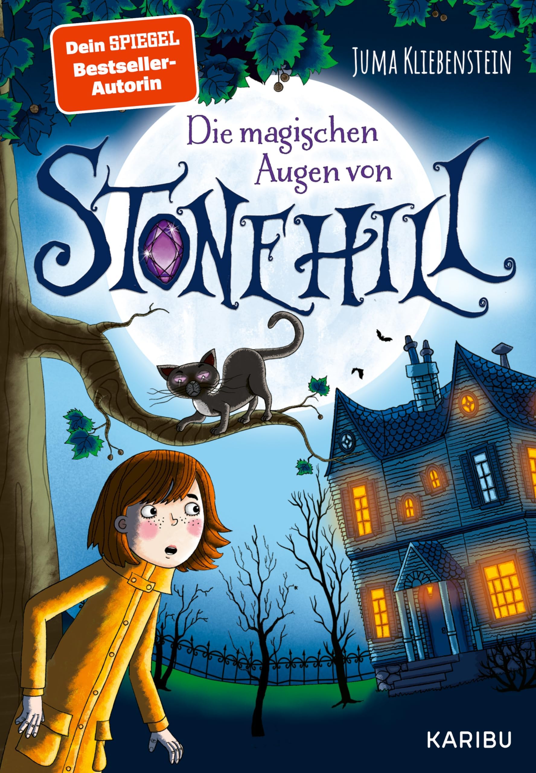 Die magischen Augen von Stonehill: Das Mystery-Abenteuer für Jungen und Mädchen ab 9 Jahren