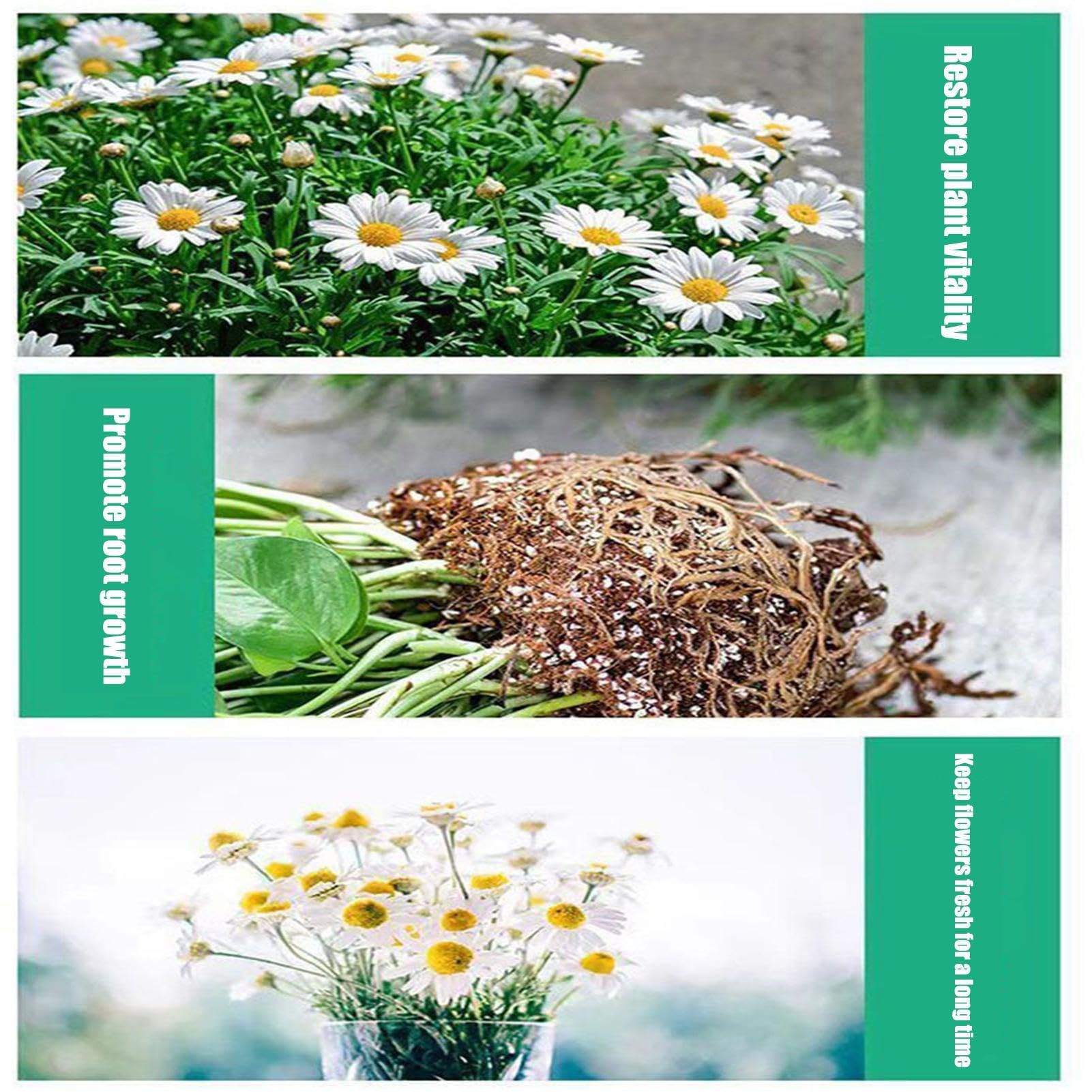 Fertilizzante Organico Per Piante - Potenziatore Radici E Crescita, 250 Ml, Per Piante Forti E Sane - Foto 2