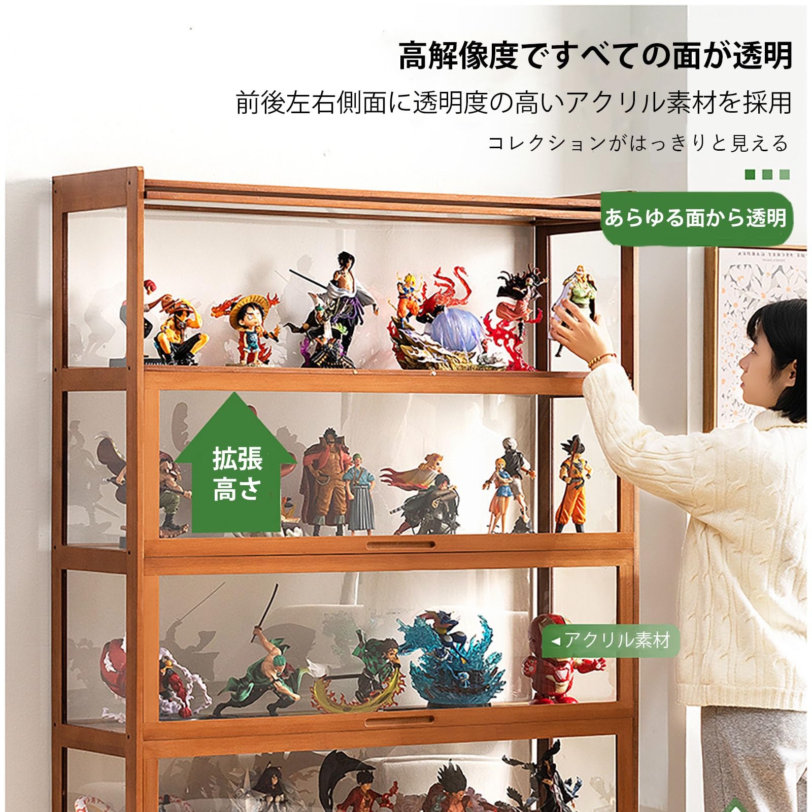 Amazon.co.jp: ショーケース コレクションキャビネット コレクション