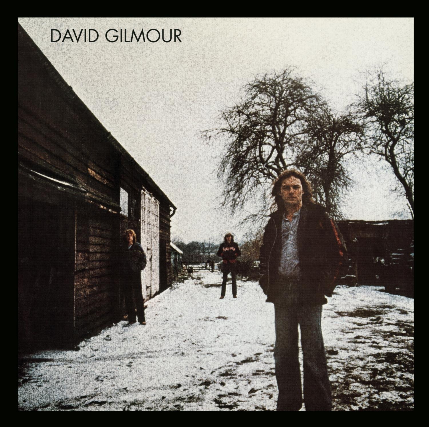 Amazon.com: David Gilmour