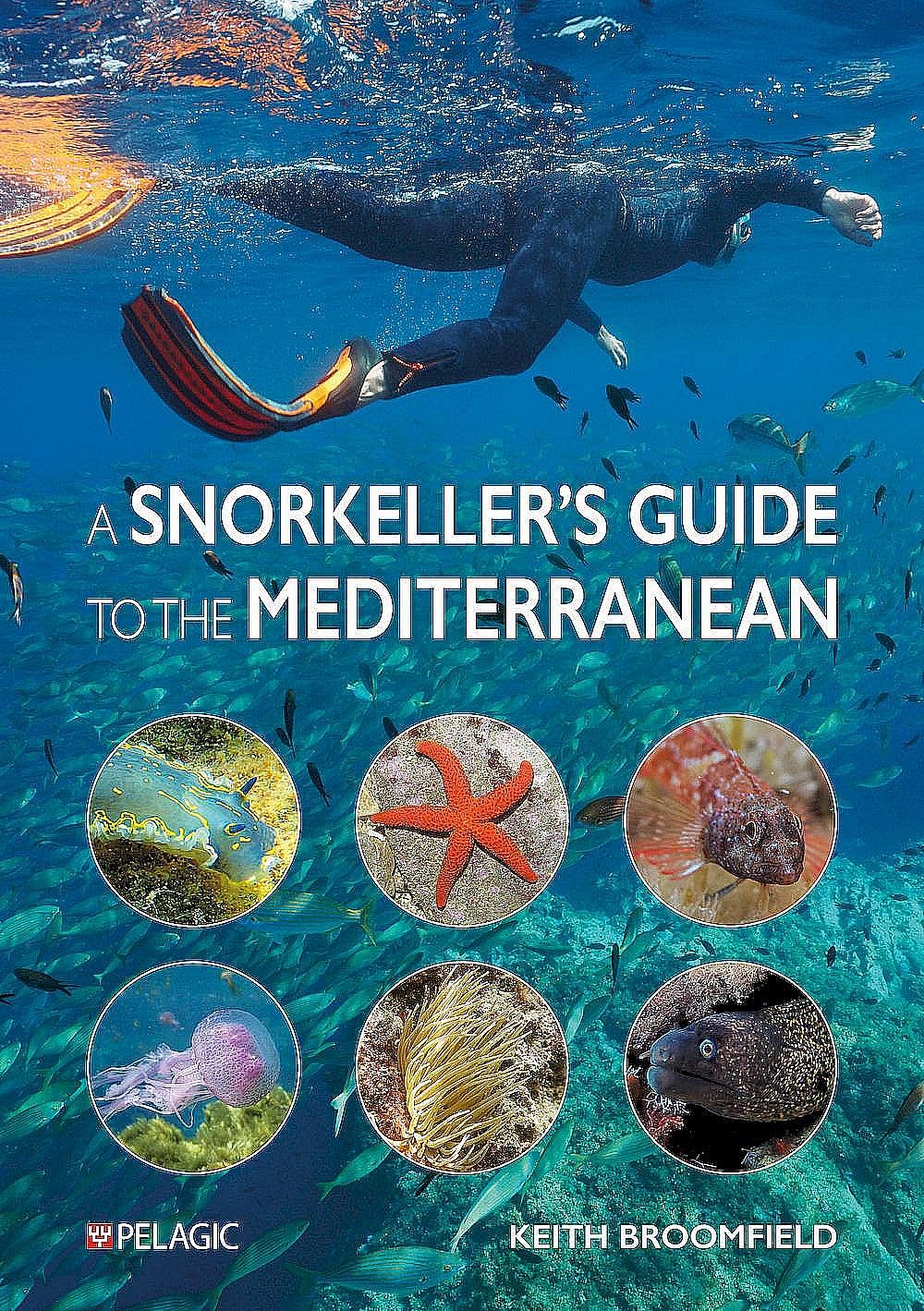 A Snorkeller’s Guide to the Mediterranean: A photographic ID guide to the most commonly encountered marine species