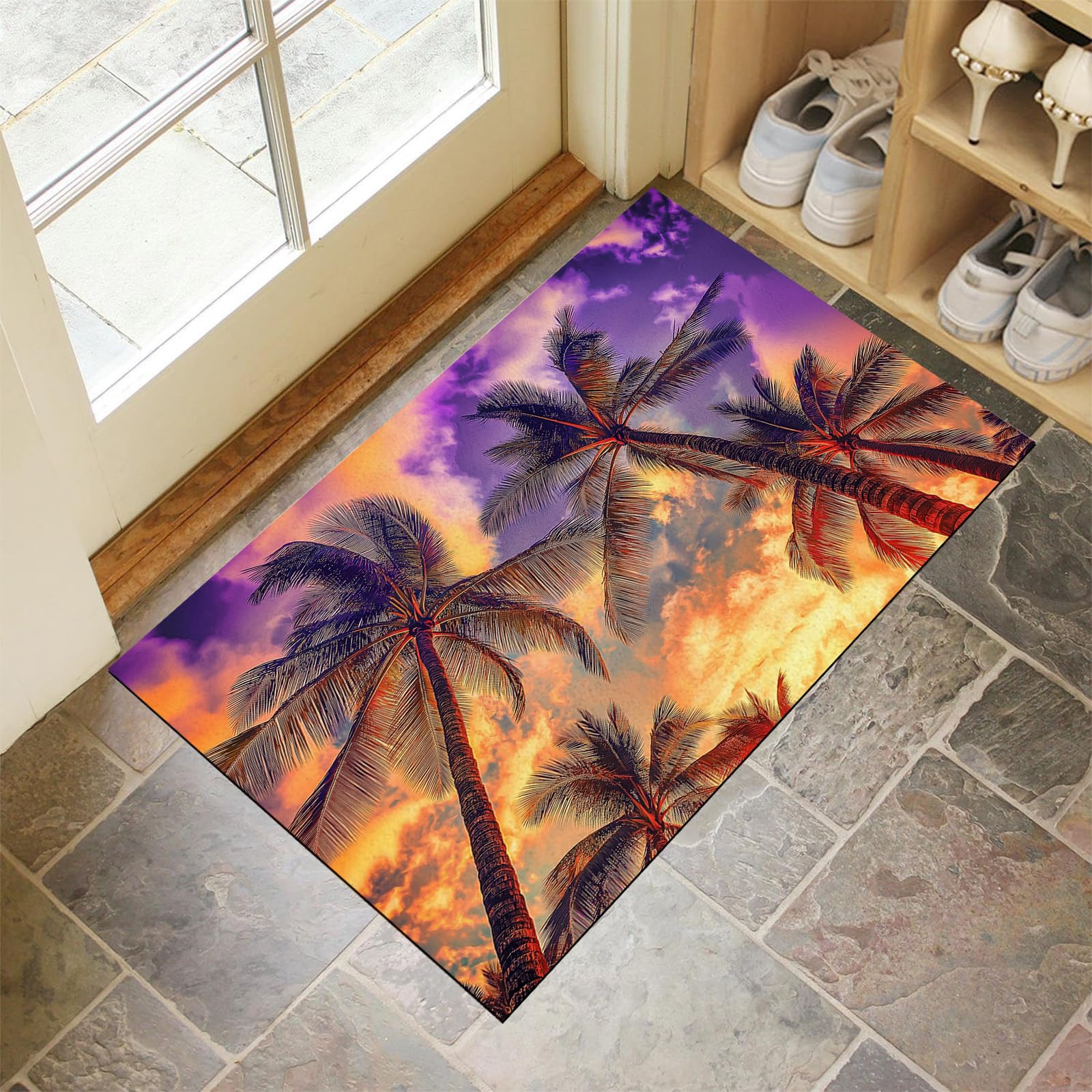 Paillasson attrape poussière 40x60 cm tapis entrée antidérapant