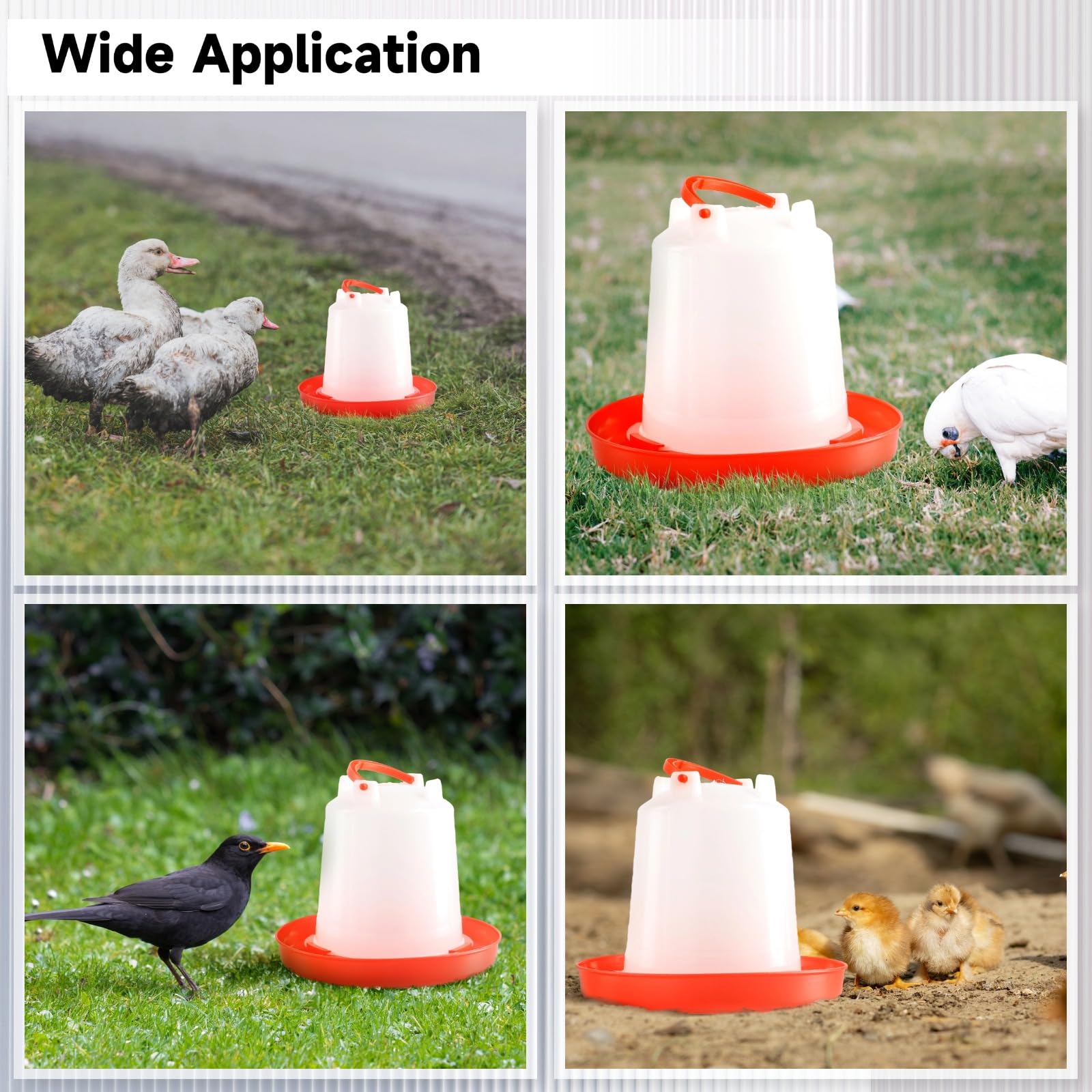 Chick Feeders & Waterers Set de 2 bebederos para aves de corral de 1,5 l y 2 comederos de 3,3 libras, recipientes de plástico colgantes para pollos, pavos, patos y más